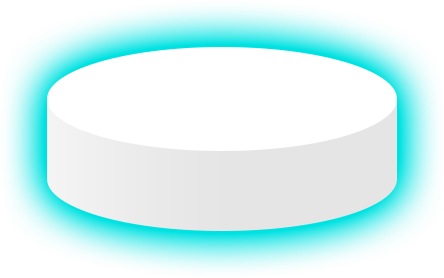 Magnet