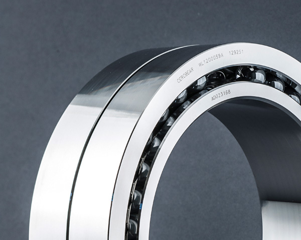 Auxiliary bearings