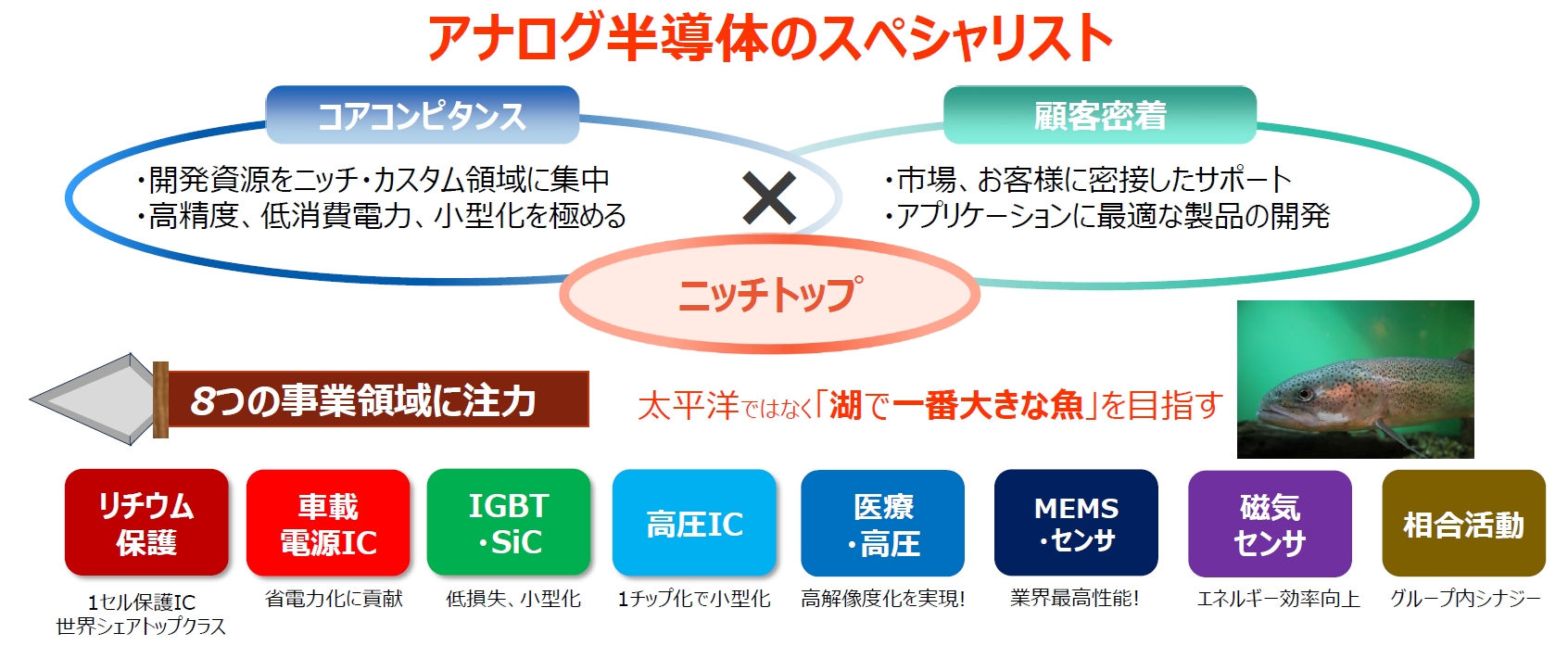ミネベアミツミの半導体事業が注力する8つの領域