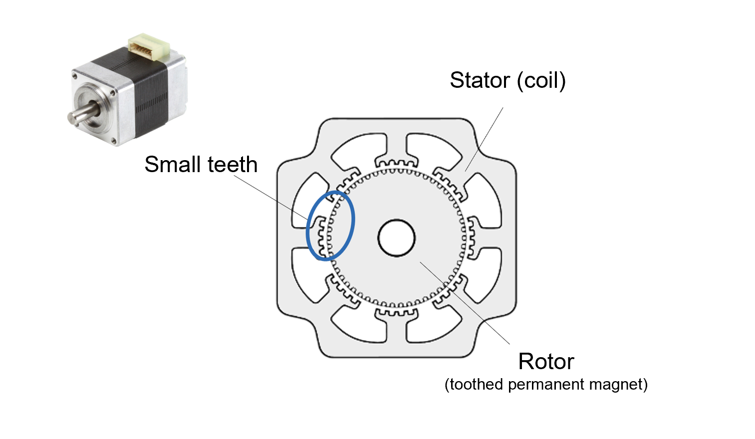 Internal structure diagram of a hybrid stepping motor showing the fine teeth cut into the stator and rotor.