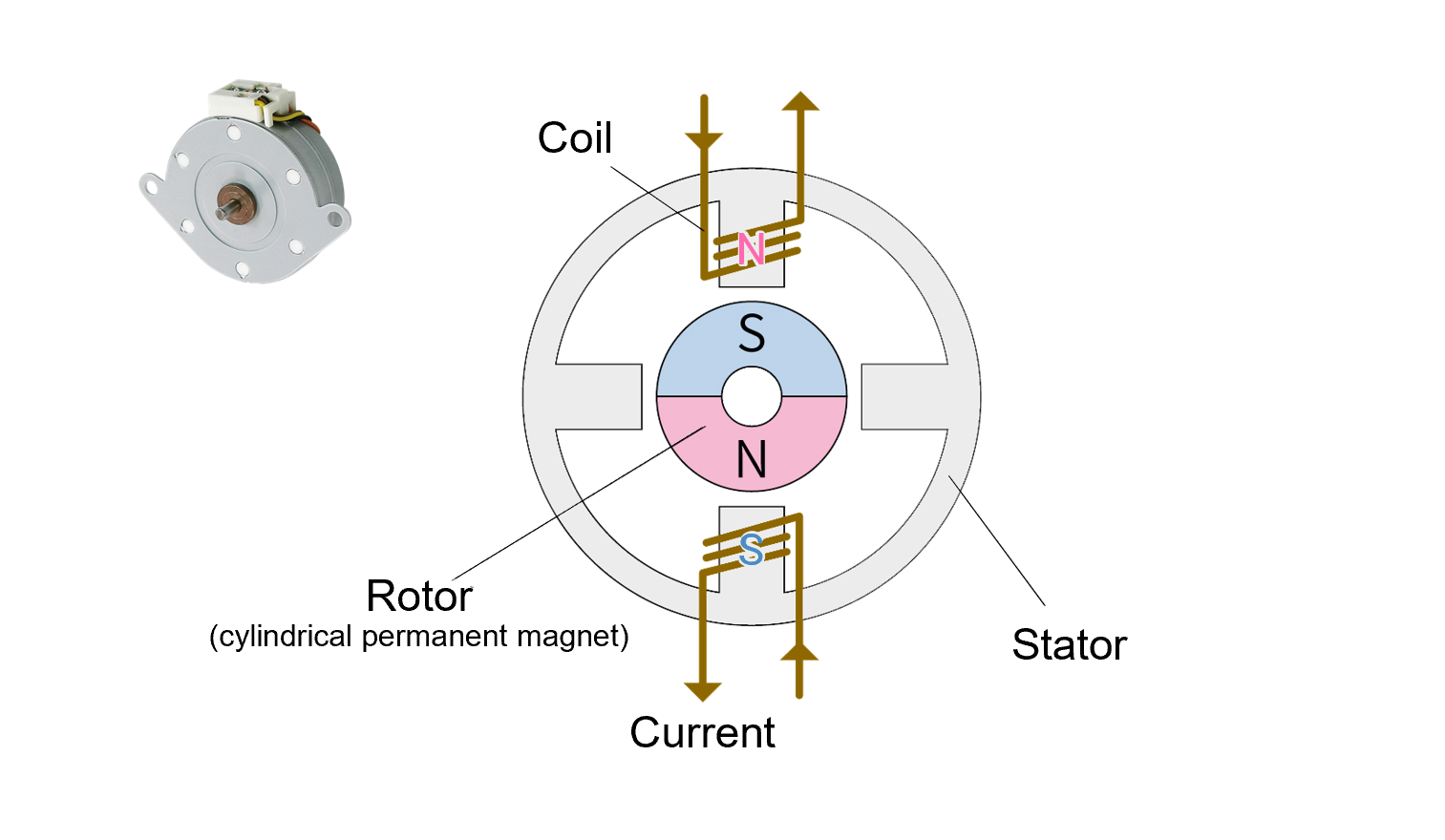Internal structure diagram of a PM stepping motor showing the rotor (permanent magnet), stator, coil arrangement, and current flow.